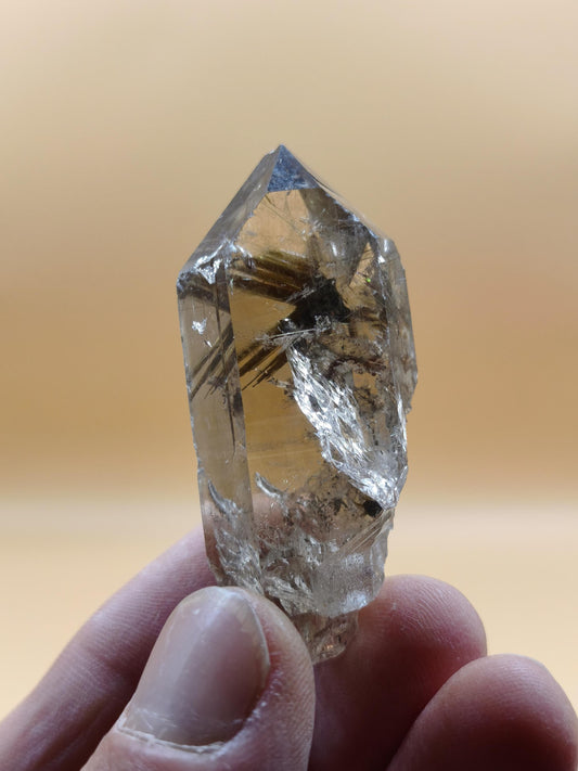 Rauchquarz mit Rutil gold roh Sammler Stufe Kristall Rarität ~ Edelstein Deko Heilstein Mineral Kollektion Energie Natur