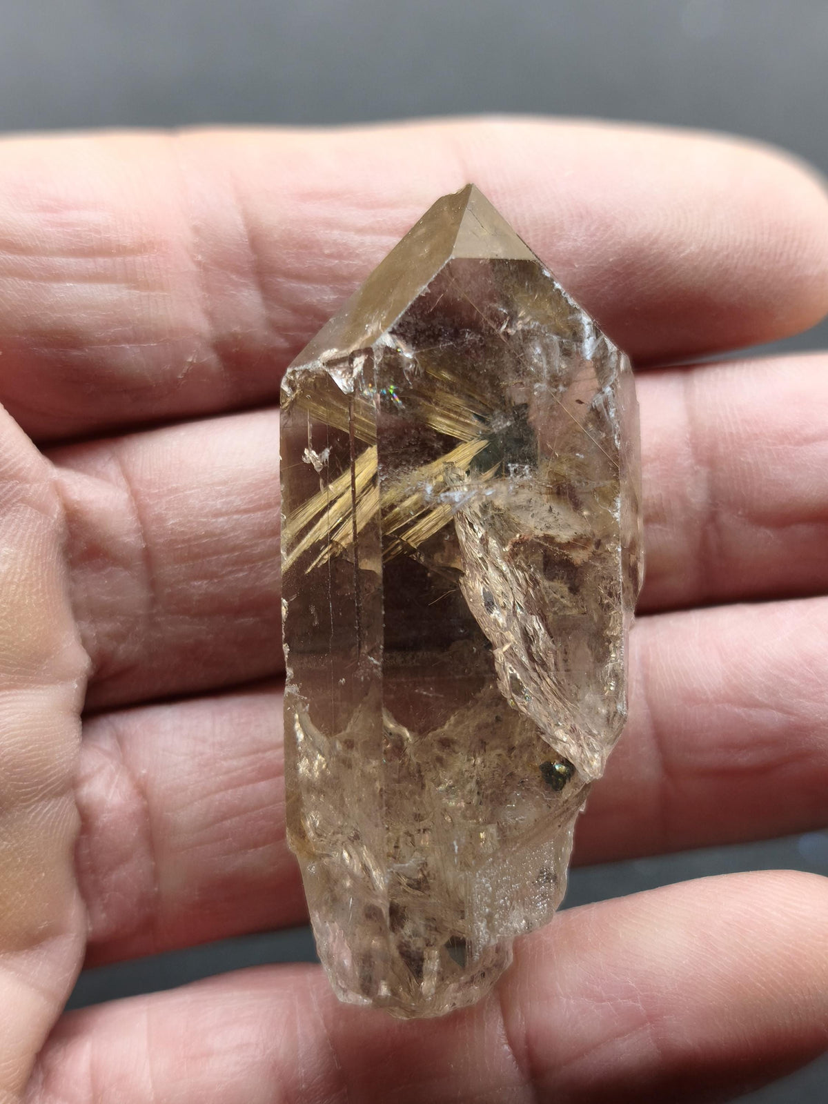 Rauchquarz mit Rutil gold roh Sammler Stufe Kristall Rarität ~ Edelstein Deko Heilstein Mineral Kollektion Energie Natur
