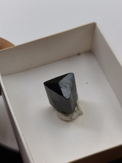 Schwarze Turmalin (Schörl) A Qualität Stufe roh Kristall Sammler Deko Geschenk Mann Frau Heilsteine