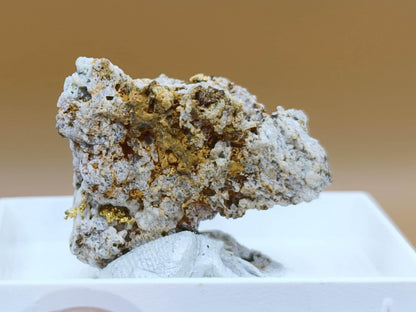 Gediegenes Gold auf Matrix Kristallin – Natürliches Gold aus Zlaté Hory, Tschechien echt natürlich Sammler Mineral selten