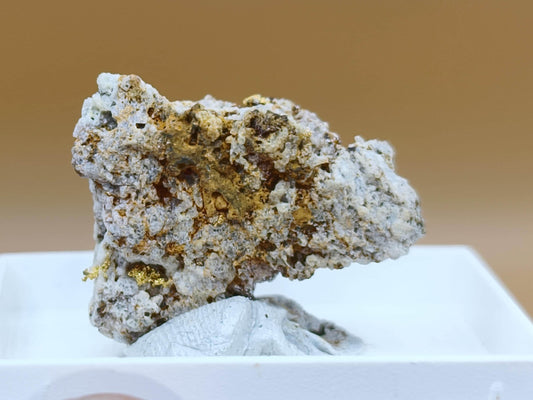 Gediegenes Gold auf Matrix Kristallin – Natürliches Gold aus Zlaté Hory, Tschechien echt natürlich Sammler Mineral selten