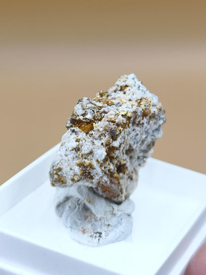 Gediegenes Gold auf Matrix Kristallin – Natürliches Gold aus Zlaté Hory, Tschechien echt natürlich Sammler Mineral selten