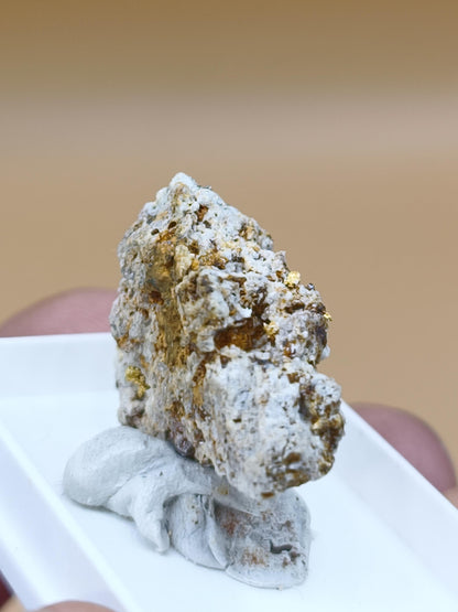 Gediegenes Gold auf Matrix Kristallin – Natürliches Gold aus Zlaté Hory, Tschechien echt natürlich Sammler Mineral selten