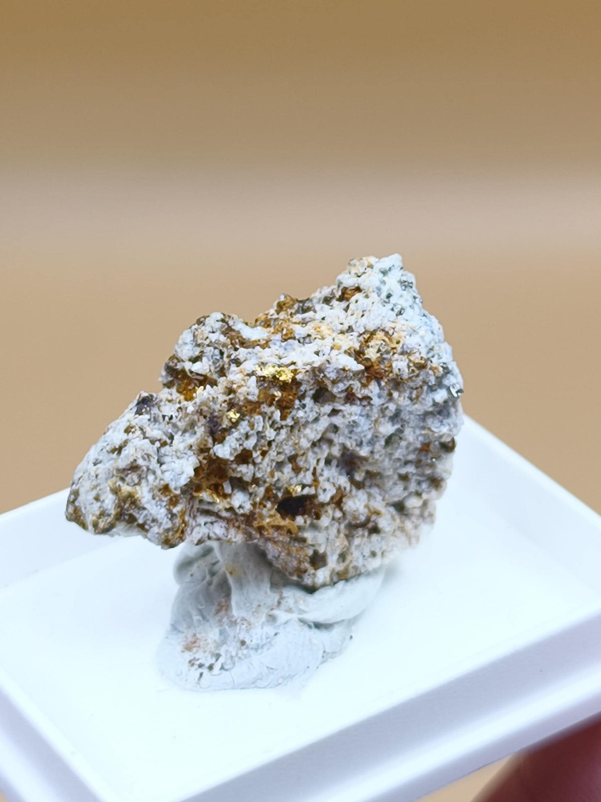 Gediegenes Gold auf Matrix Kristallin – Natürliches Gold aus Zlaté Hory, Tschechien echt natürlich Sammler Mineral selten