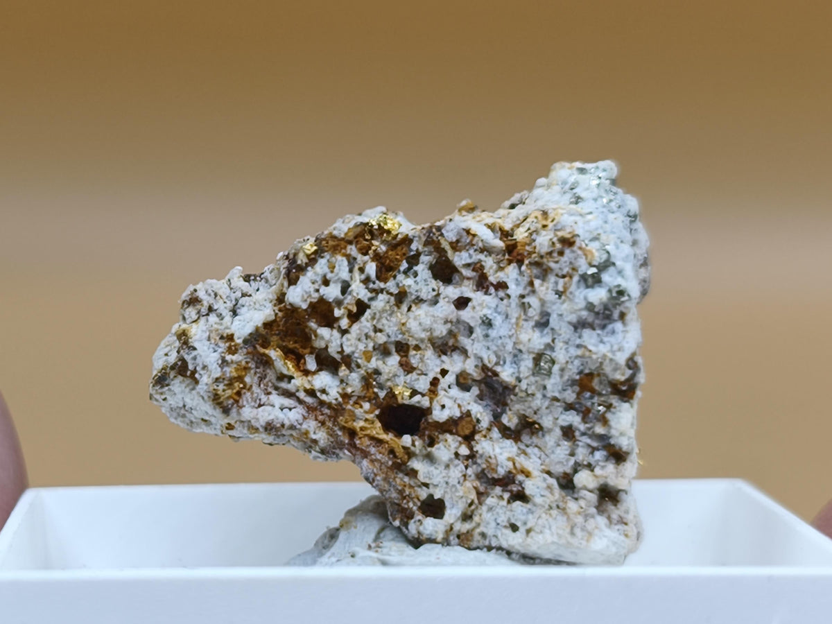Gediegenes Gold auf Matrix Kristallin – Natürliches Gold aus Zlaté Hory, Tschechien echt natürlich Sammler Mineral selten