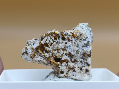 Gediegenes Gold auf Matrix Kristallin – Natürliches Gold aus Zlaté Hory, Tschechien echt natürlich Sammler Mineral selten