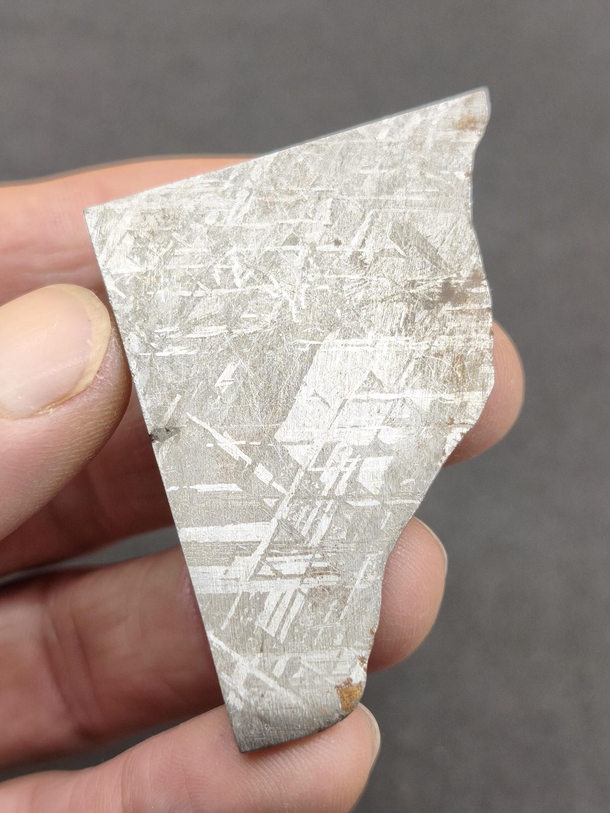 Gibeon Meteorit Namibia | Eisenmeteorit mit Widmanstätten-Struktur | Geätzter Meteoriten-Anschnitt Sammler Mineralien Kristalle Selten