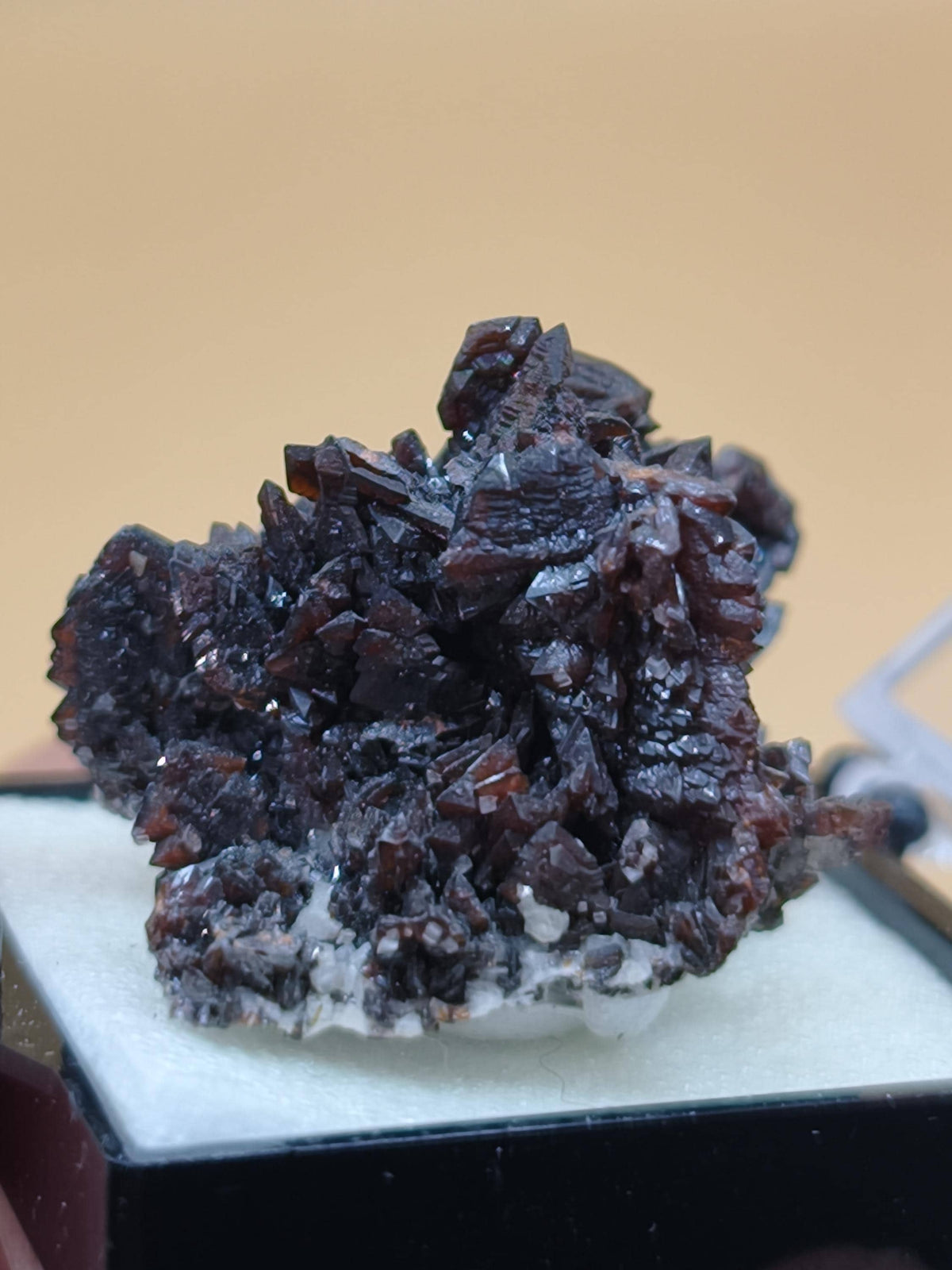 Descloizit Kristallstufe – Berg Aukas, Namibia | Dunkelrotbraune Kristalle Rarität Sammler roh Stufe Edelstein Deko Mineralien