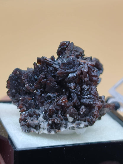 Descloizit Kristallstufe – Berg Aukas, Namibia | Dunkelrotbraune Kristalle Rarität Sammler roh Stufe Edelstein Deko Mineralien