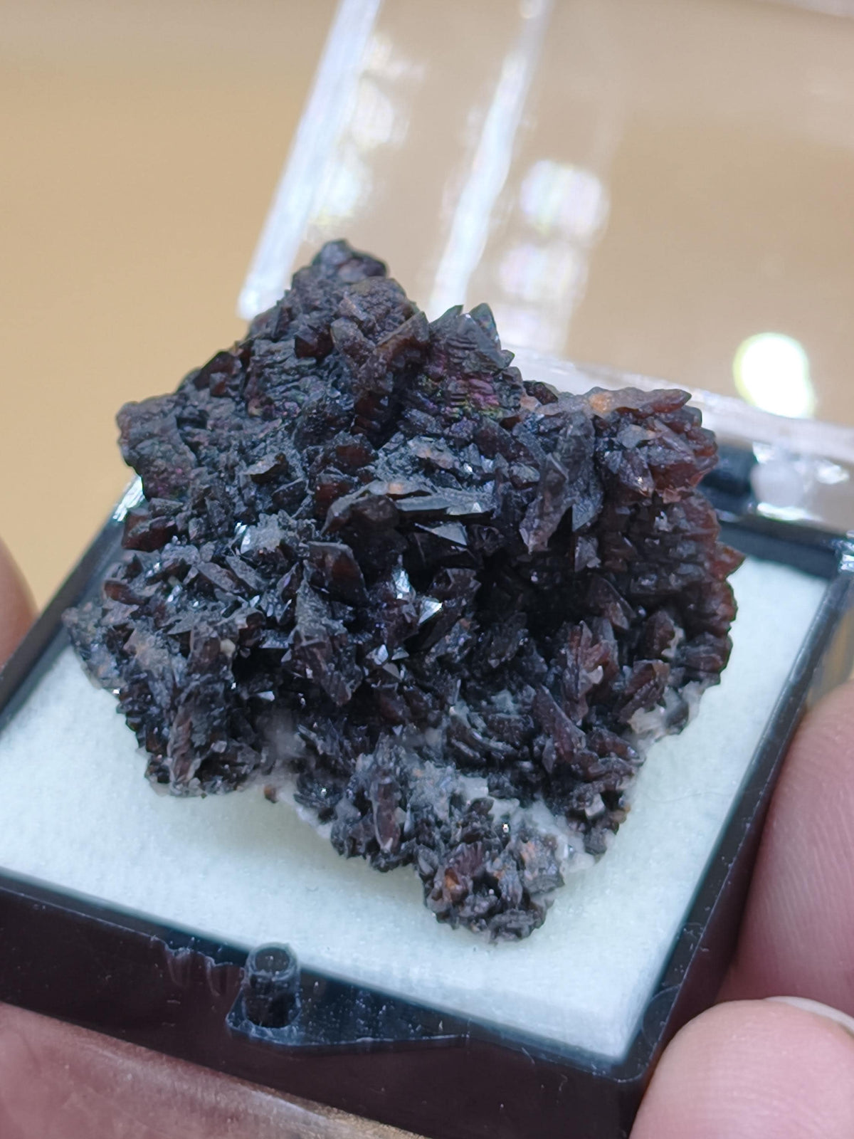 Descloizit Kristallstufe – Berg Aukas, Namibia | Dunkelrotbraune Kristalle Rarität Sammler roh Stufe Edelstein Deko Mineralien