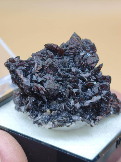 Descloizit Kristallstufe – Berg Aukas, Namibia | Dunkelrotbraune Kristalle Rarität Sammler roh Stufe Edelstein Deko Mineralien