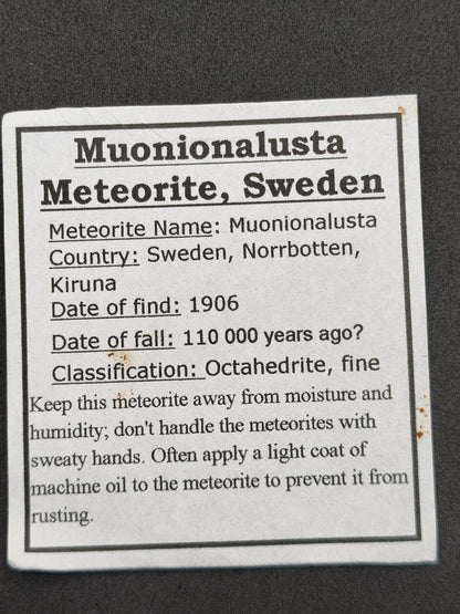 XL Muonionalusta Meteorit – Große Eisenmeteoriten-Scheibe aus Schweden | 34,5 g Sammler Selten Geschenk