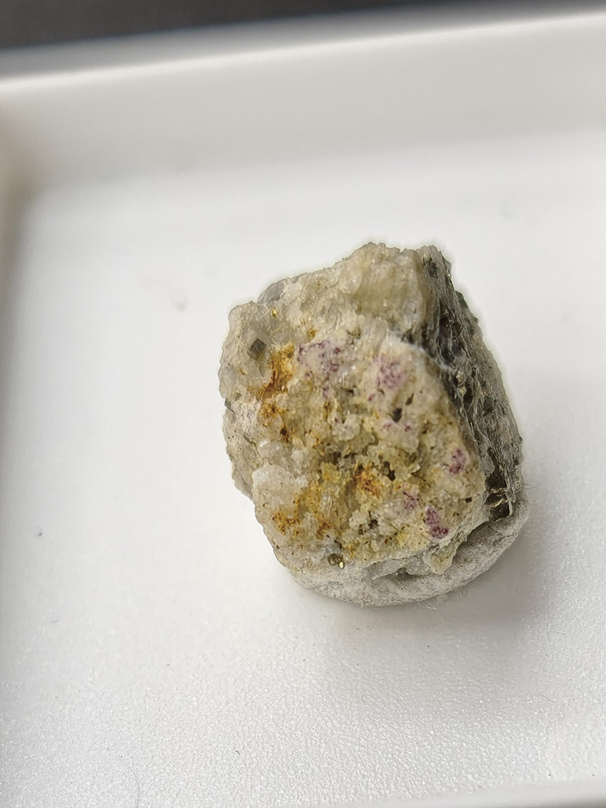 Gediegenes Gold auf Matrix Kristallin – Natürliches Gold aus Zlaté Hory, Tschechien echt natürlich Sammler Mineral selten