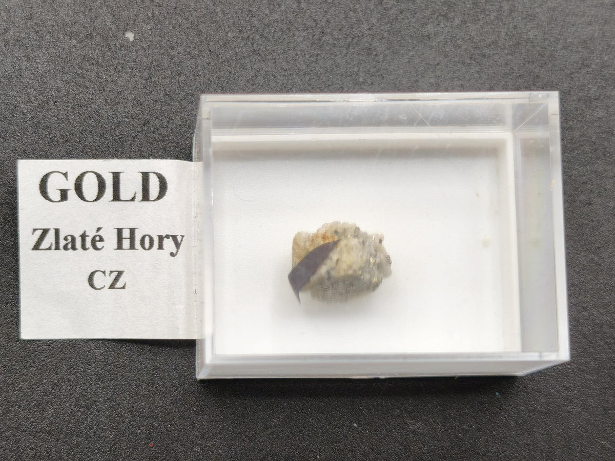 Gediegenes Gold auf Matrix Kristallin – Natürliches Gold aus Zlaté Hory, Tschechien echt natürlich Sammler Mineral selten