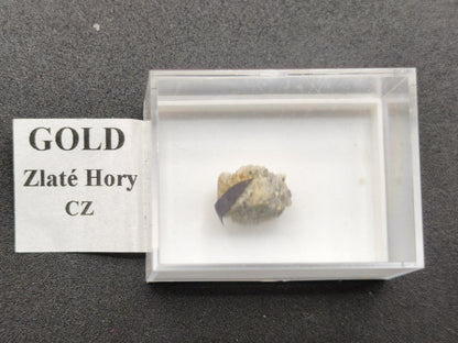 Gediegenes Gold auf Matrix Kristallin – Natürliches Gold aus Zlaté Hory, Tschechien echt natürlich Sammler Mineral selten