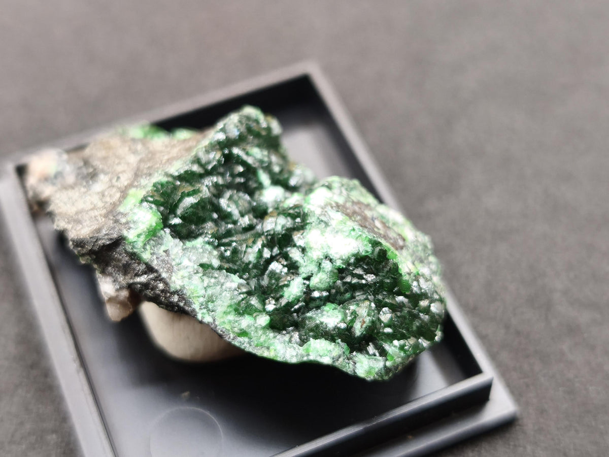 Cuproadamit Kristallstufe Tsumeb Namibia 40 mm | Tiefgrüne Kristalle Zincolivenit  Seltenes Sammlermineral Rarität Sammler roh Stufe Edelst