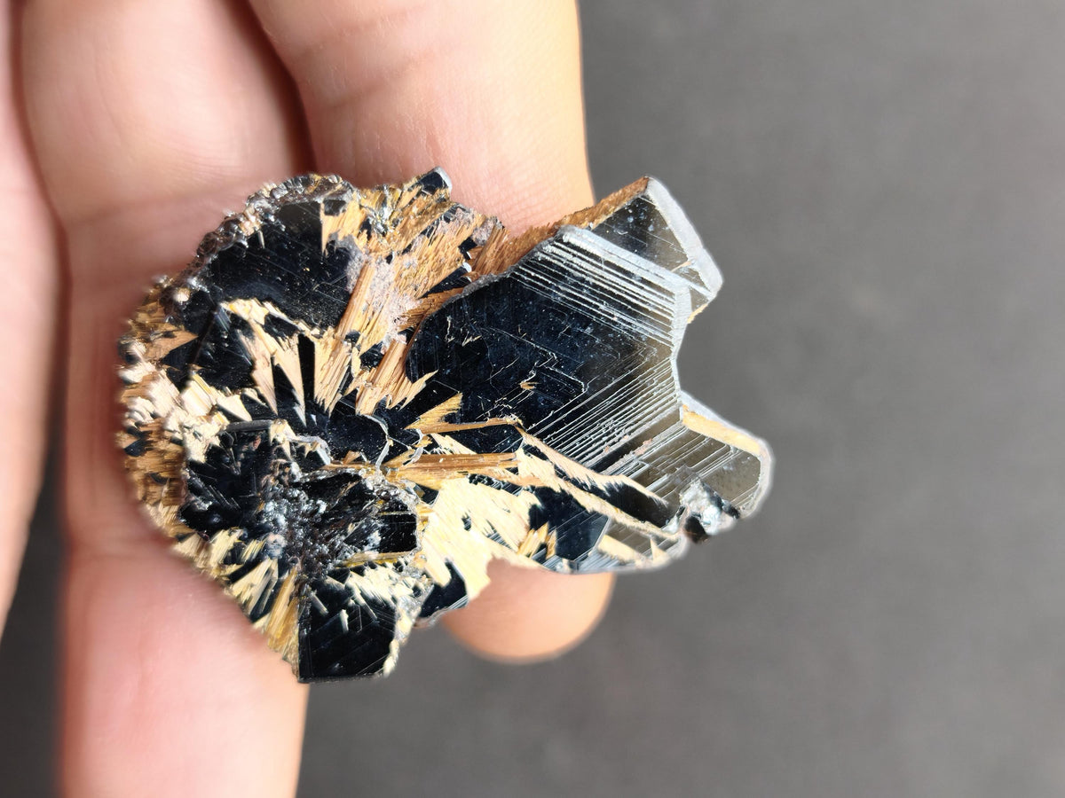 Rutil Hämatit Kristall Stufe 42 mm Brasilien AAA | Goldene Rutilsterne auf schwarzem Hämatit | Natürliche Edelsteine Sammler Mineralien Deko