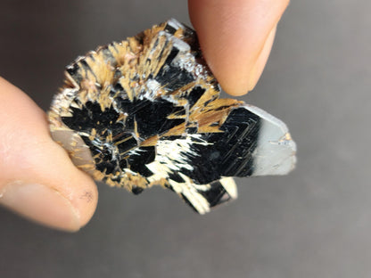 Rutil Hämatit Kristall Stufe 42 mm Brasilien AAA | Goldene Rutilsterne auf schwarzem Hämatit | Natürliche Edelsteine Sammler Mineralien Deko