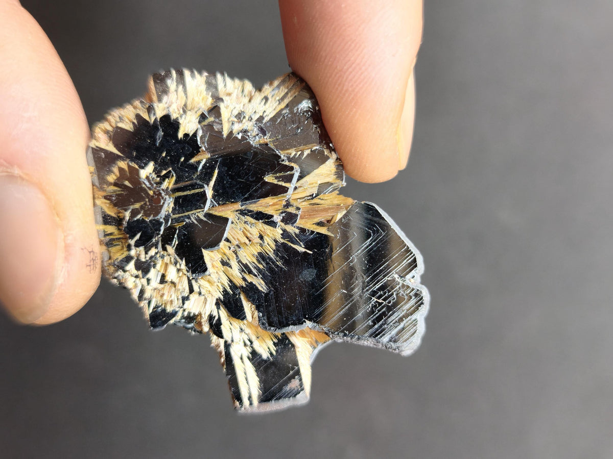 Rutil Hämatit Kristall Stufe 42 mm Brasilien AAA | Goldene Rutilsterne auf schwarzem Hämatit | Natürliche Edelsteine Sammler Mineralien Deko