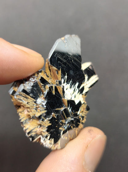 Rutil Hämatit Kristall Stufe 42 mm Brasilien AAA | Goldene Rutilsterne auf schwarzem Hämatit | Natürliche Edelsteine Sammler Mineralien Deko