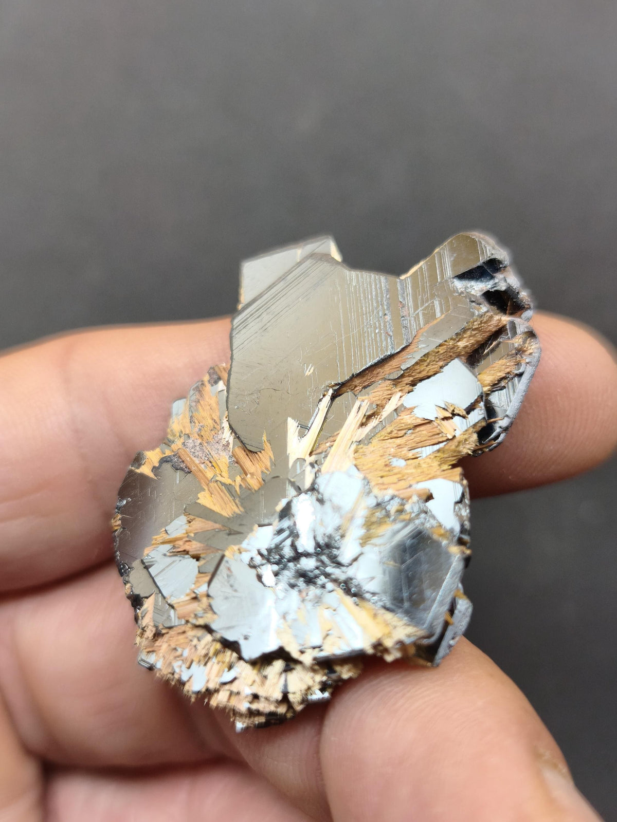 Rutil Hämatit Kristall Stufe 42 mm Brasilien AAA | Goldene Rutilsterne auf schwarzem Hämatit | Natürliche Edelsteine Sammler Mineralien Deko