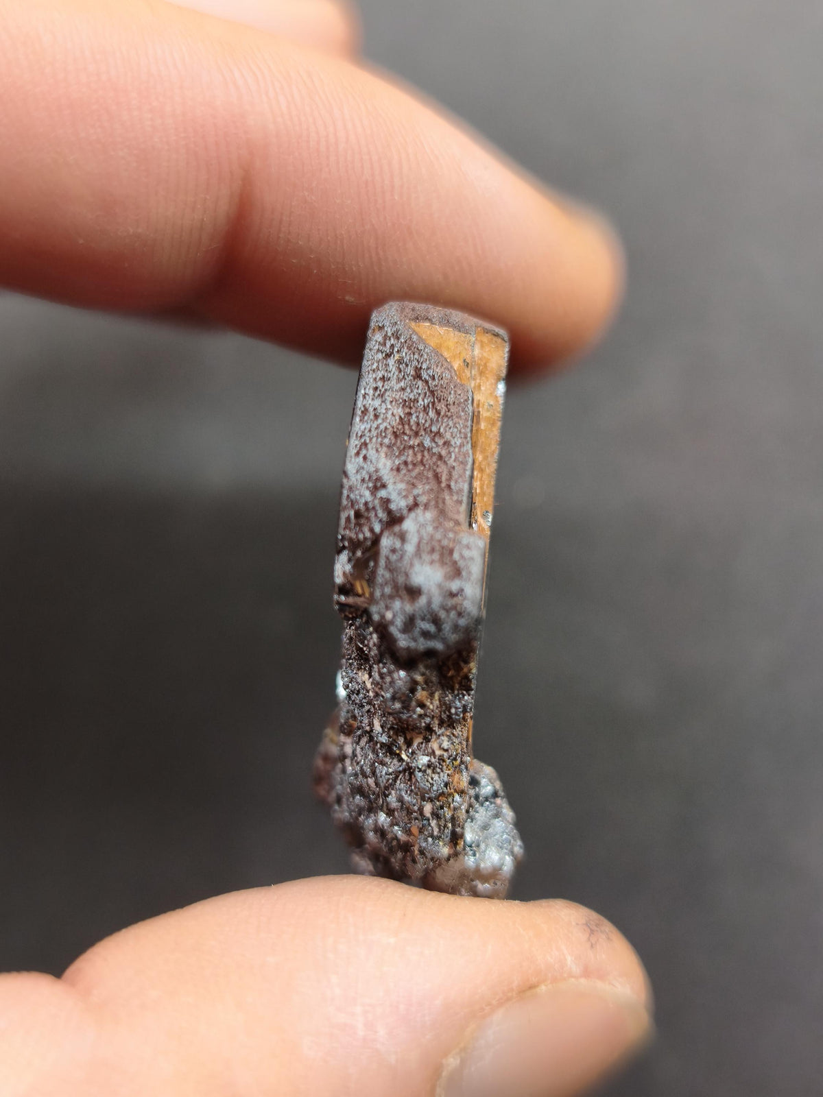 Rutil Hämatit Kristall Stufe 35 mm Brasilien AAA | Goldene Rutilsterne auf schwarzem Hämatit | Natürliche Edelsteine Sammler Mineralien Deko