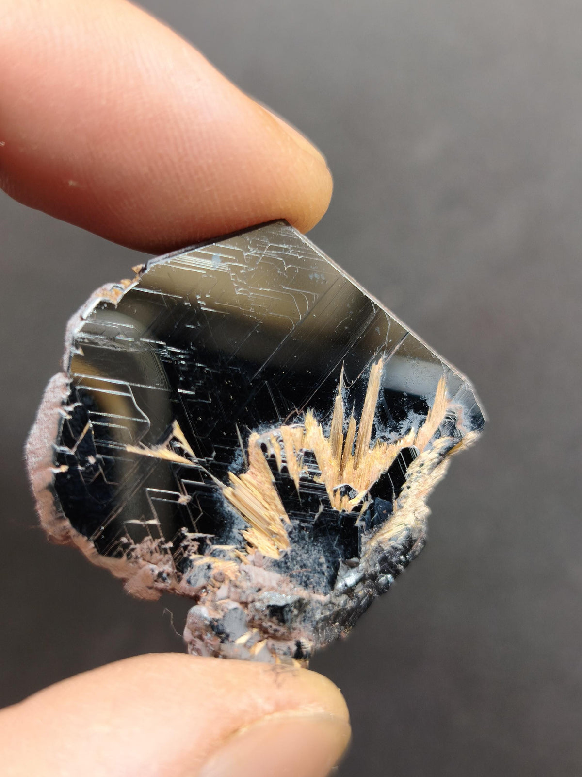 Rutil Hämatit Kristall Stufe 32mm Brasilien AAA | Goldene Rutilsterne auf schwarzem Hämatit | Natürliche Edelsteine Sammler Mineralien Deko