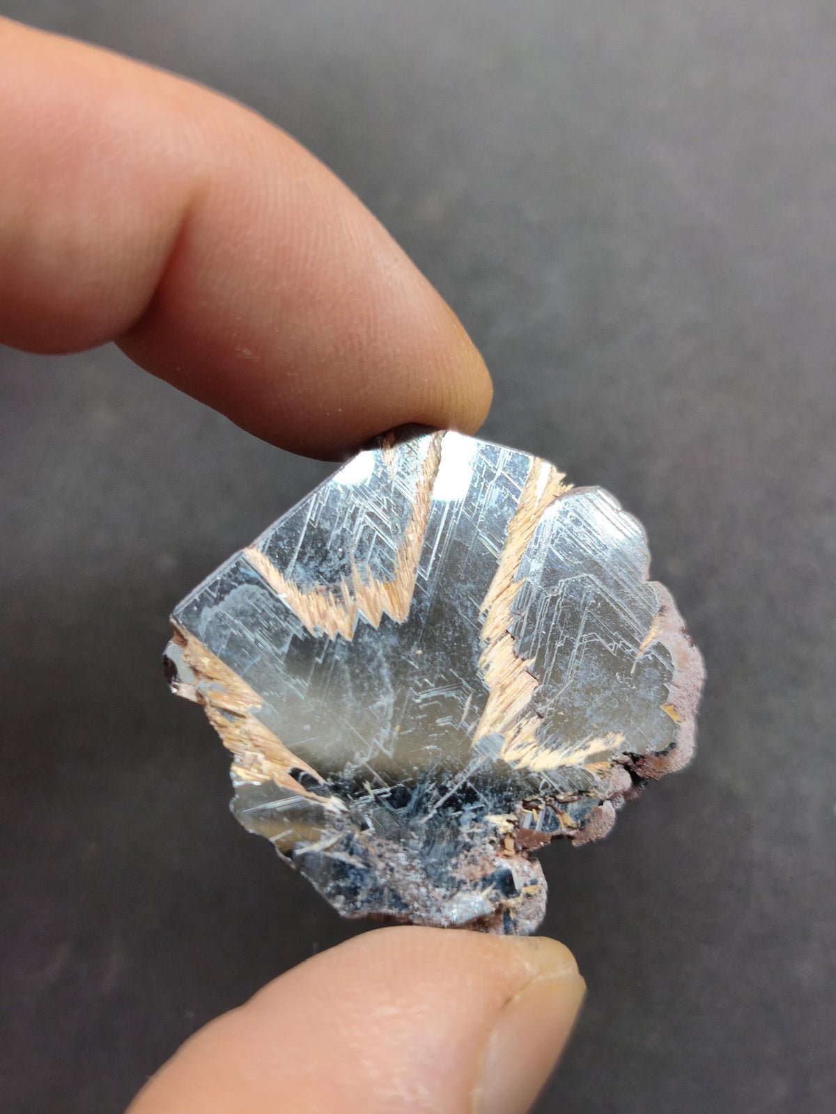 Rutil Hämatit Kristall Stufe 32mm Brasilien AAA | Goldene Rutilsterne auf schwarzem Hämatit | Natürliche Edelsteine Sammler Mineralien Deko