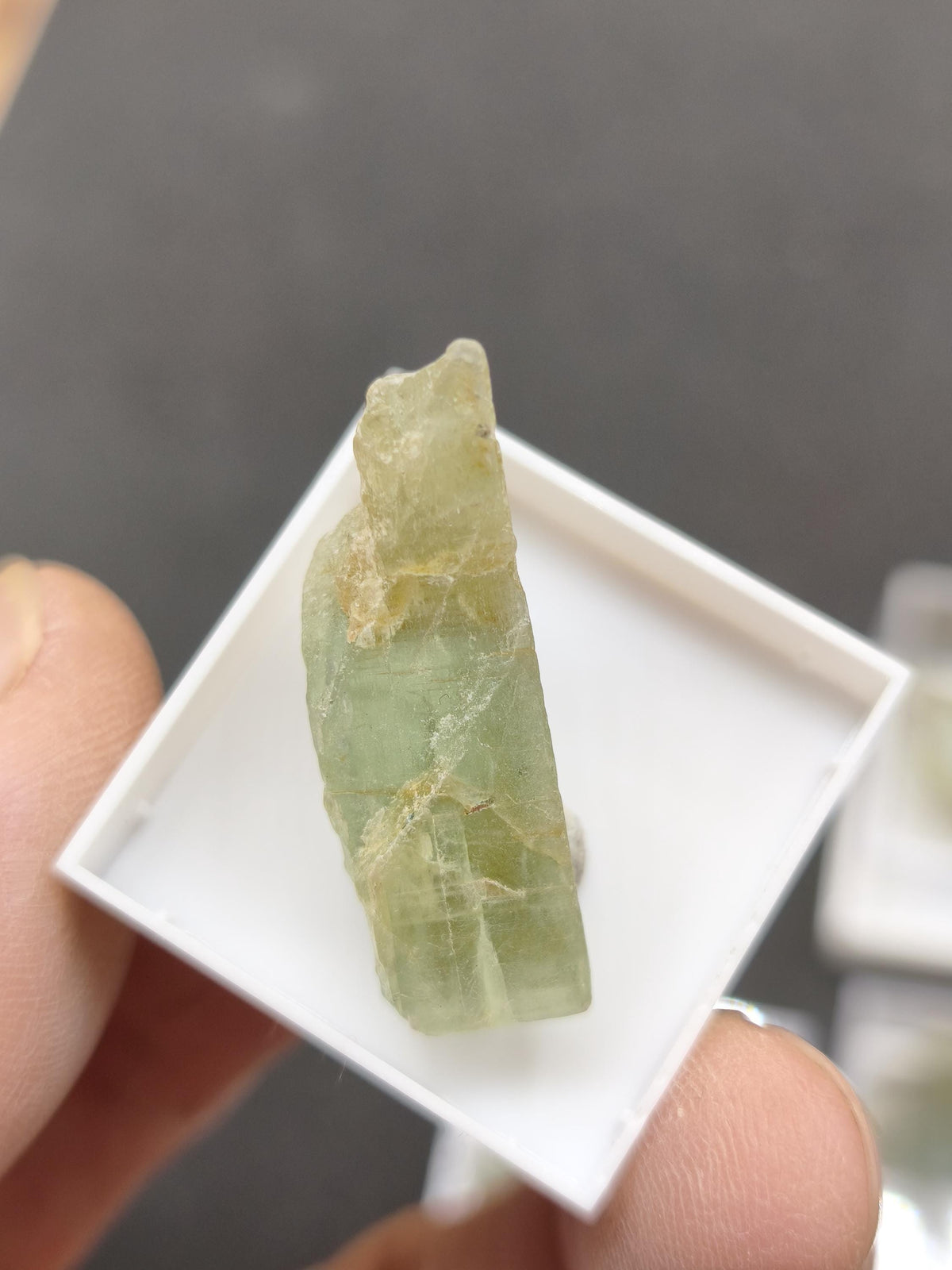 Grüner Cyanit Kristall 25–28 mm | Natürlicher Kyanit Rohstein | Disthen | Mineraliem Stufe Kristall Sammler roh Kristall Edelstein Deko