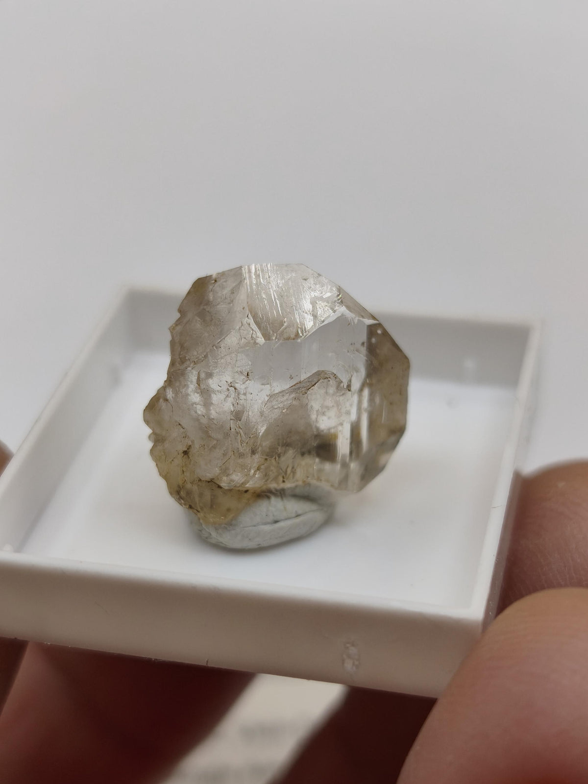 12ct Phenakit Kristall aus Namibia | Stiepelmann Mine Erongo | Klarer natürlicher Rohkristall | Seltenes Sammler Mineral Heilstein Rarität