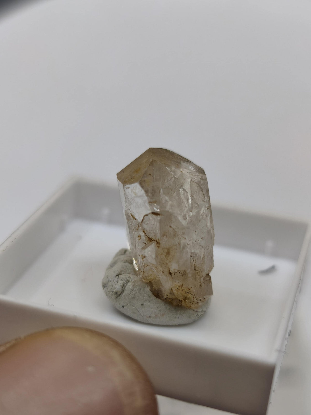 12ct Phenakit Kristall aus Namibia | Stiepelmann Mine Erongo | Klarer natürlicher Rohkristall | Seltenes Sammler Mineral Heilstein Rarität
