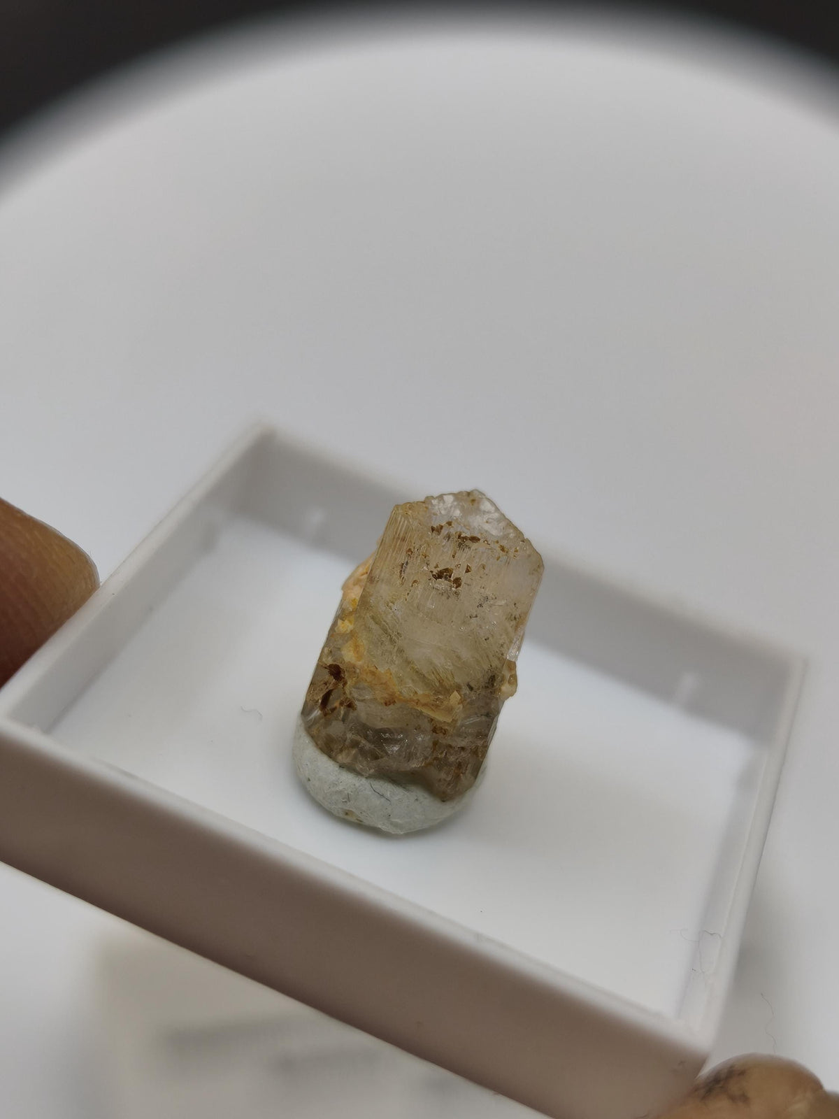 4,5ct Phenakit Kristall aus Namibia | Stiepelmann Mine Erongo | Klarer natürlicher Rohkristall | Seltenes Sammler Mineral Heilstein Rarität