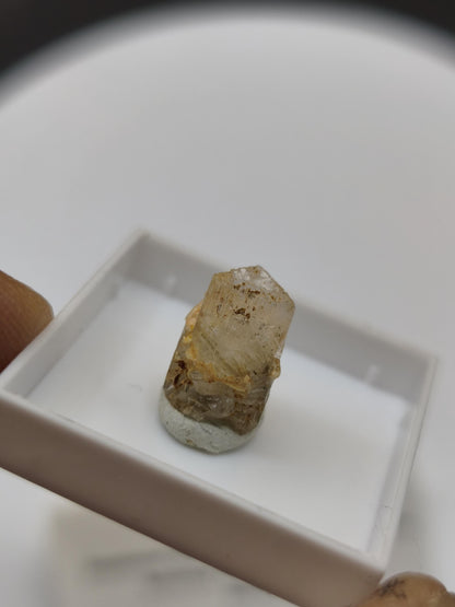 4,5ct Phenakit Kristall aus Namibia | Stiepelmann Mine Erongo | Klarer natürlicher Rohkristall | Seltenes Sammler Mineral Heilstein Rarität