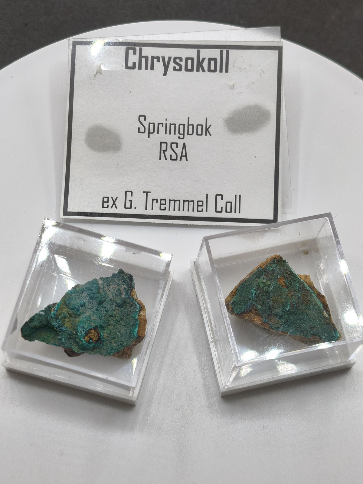 Chrysokoll Springbok Südafrika | Natürliches Sammlermineral | Muster 1 oder 2 Kristall Sammler roh Mineralien Geschenk