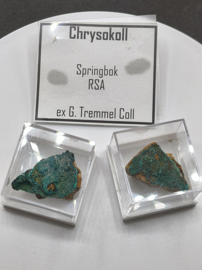 Chrysokoll Springbok Südafrika | Natürliches Sammlermineral | Muster 1 oder 2 Kristall Sammler roh Mineralien Geschenk