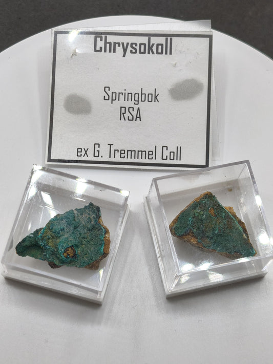 Chrysokoll Springbok Südafrika | Natürliches Sammlermineral | Muster 1 oder 2 Kristall Sammler roh Mineralien Geschenk