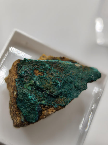 Chrysokoll Springbok Südafrika | Natürliches Sammlermineral | Muster 1 oder 2 Kristall Sammler roh Mineralien Geschenk