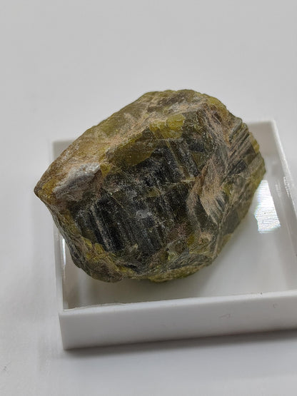 Grüner Beryll Rohkristall 30 mm | Olivgrüner Naturkristall | Seltenes Sammlermineral | Unikat Naturmineral Sammlerstück Selten Kristall