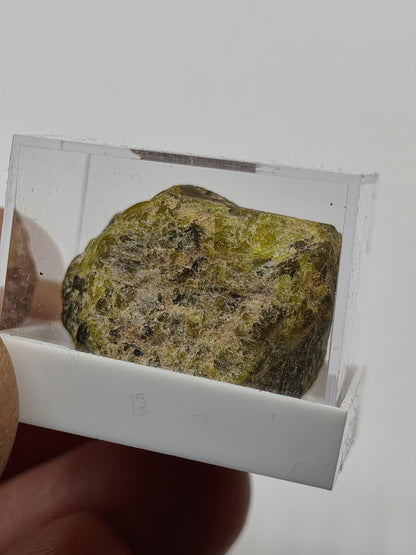 Grüner Beryll Rohkristall 30 mm | Olivgrüner Naturkristall | Seltenes Sammlermineral | Unikat Naturmineral Sammlerstück Selten Kristall