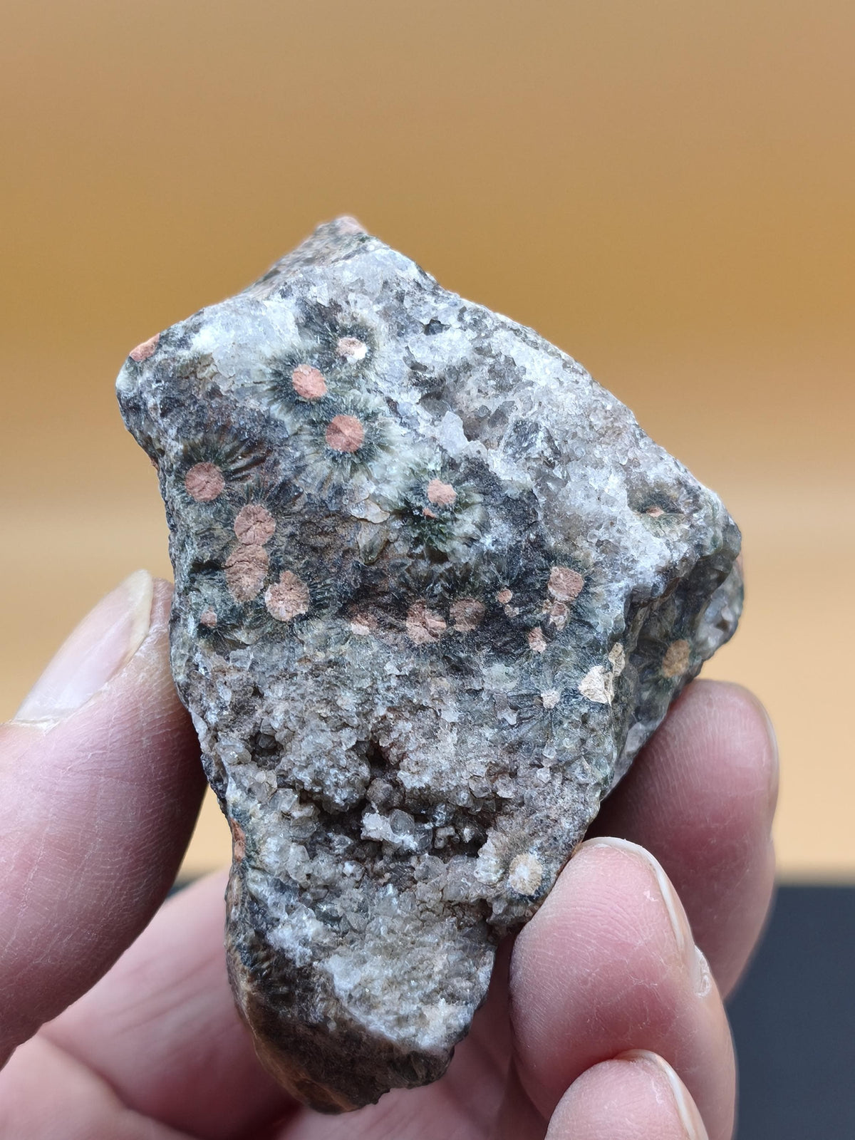 8 Vein Ocean Jasper orbicular raw specimen stone rarity natural healing stone decor crystal gift him her man woman house energy rare collector
