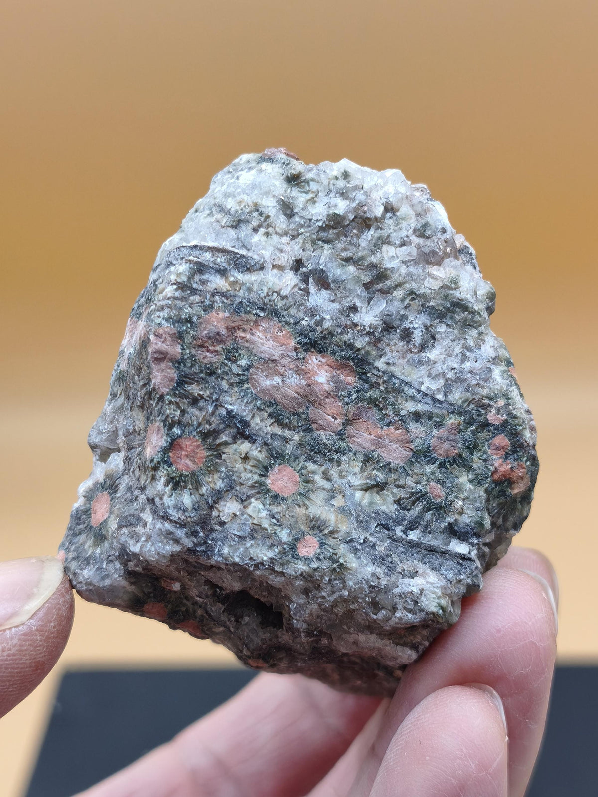 8 Vein Ocean Jasper orbicular raw specimen stone rarity natural healing stone decor crystal gift him her man woman house energy rare collector