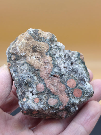 8 Vein Ocean Jasper orbicular raw specimen stone rarity natural healing stone decor crystal gift him her man woman house energy rare collector
