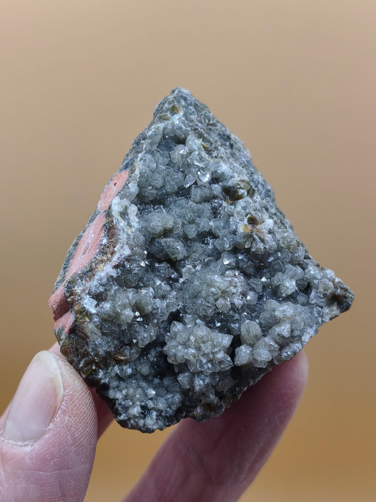 8 Vein Ocean Jasper orbicular raw specimen stone rarity natural healing stone decor crystal gift him her man woman house energy rare collector