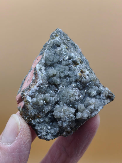 8 Vein Ocean Jasper orbicular raw specimen stone rarity natural healing stone decor crystal gift him her man woman house energy rare collector