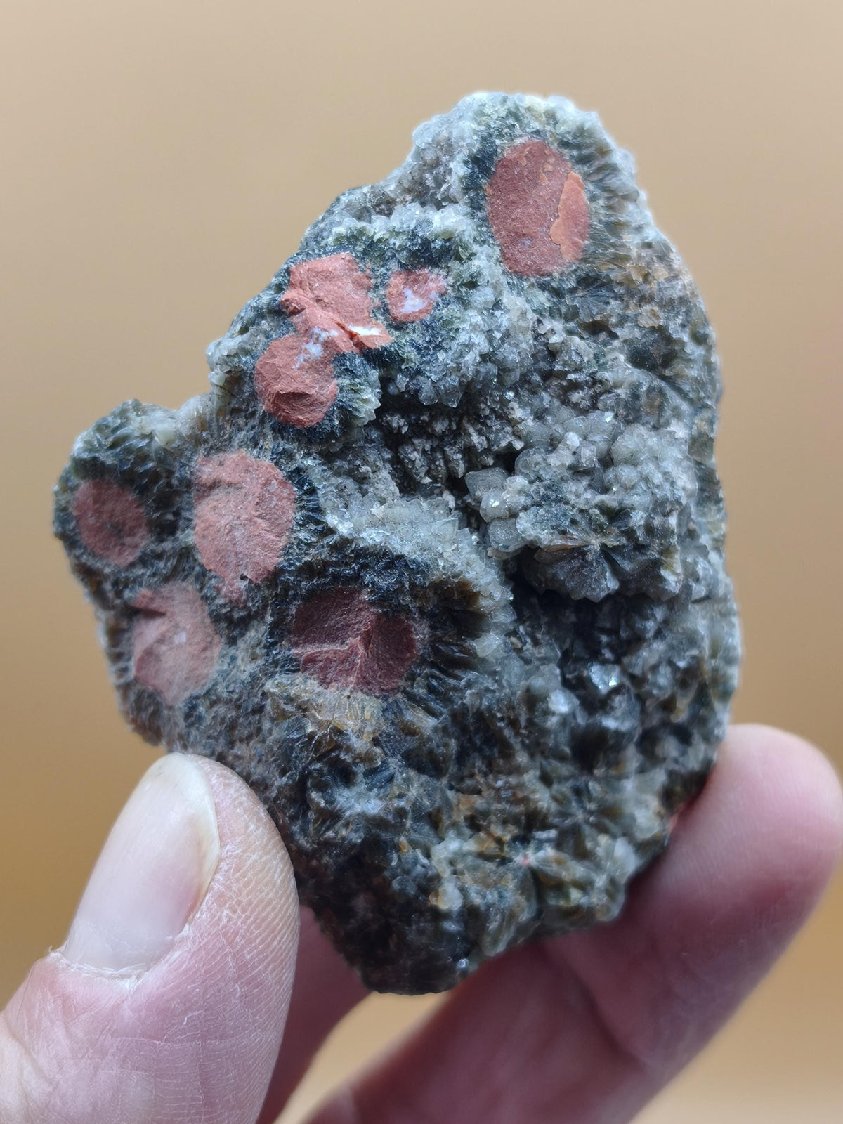 8 Vein Ocean Jasper orbicular raw specimen stone rarity natural healing stone decor crystal gift him her man woman house energy rare collector