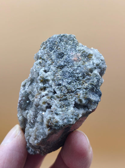 8 Vein Ocean Jasper orbicular raw specimen stone rarity natural healing stone decor crystal gift him her man woman house energy rare collector
