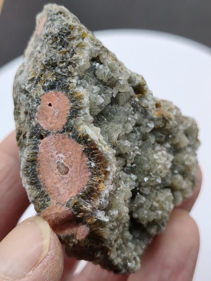 8 Vein Ocean Jasper orbicular raw specimen stone rarity natural healing stone decor crystal gift him her man woman house energy rare collector