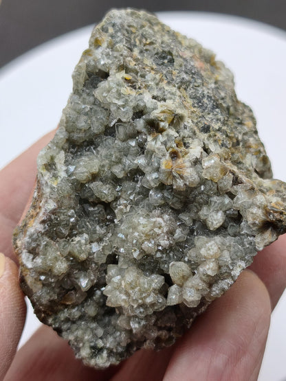 8 Vein Ocean Jasper orbicular raw specimen stone rarity natural healing stone decor crystal gift him her man woman house energy rare collector