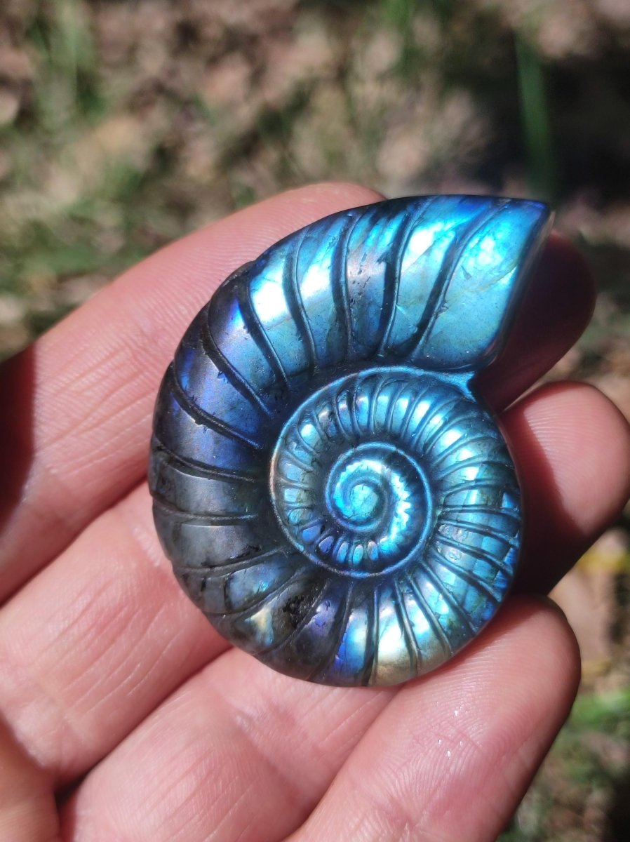 Labradorit AAA - Edelstein Ammonite Deko Kristall Spielkugel Meditation Heilstein Frau Mann Geschenk Er Sie Haus Energie Wohn Traum Schimmer - Art of Nature Berlin