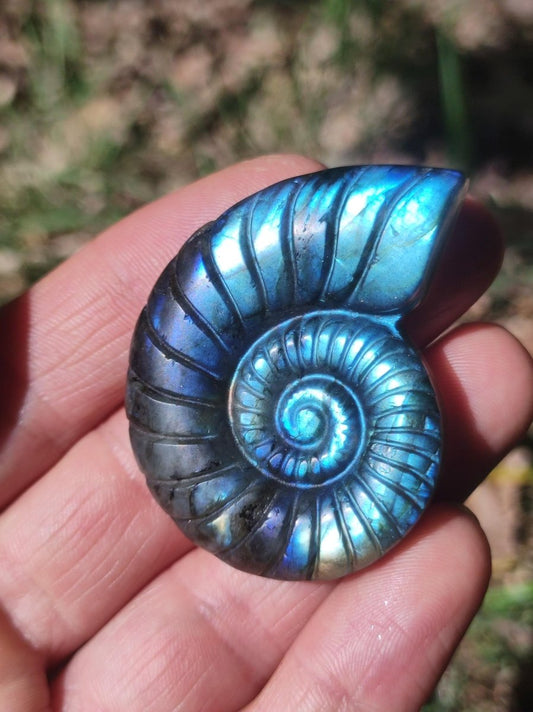 Labradorit AAA - Edelstein Ammonite Deko Kristall Spielkugel Meditation Heilstein Frau Mann Geschenk Er Sie Haus Energie Wohn Traum Schimmer - Art of Nature Berlin